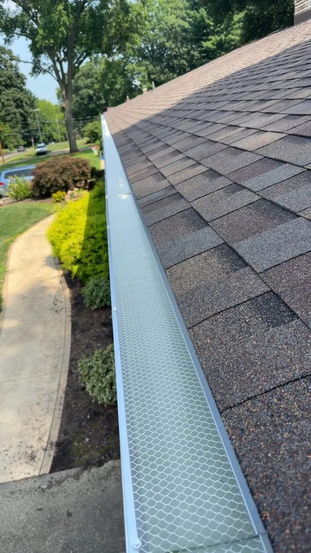 Mesh gutter guard system